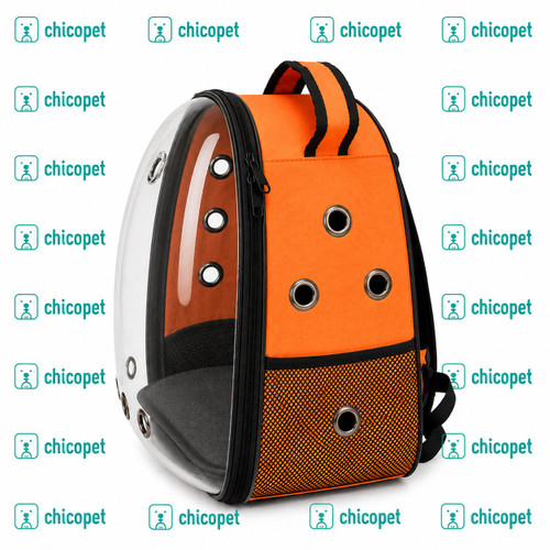 کیف حمل حیوانات