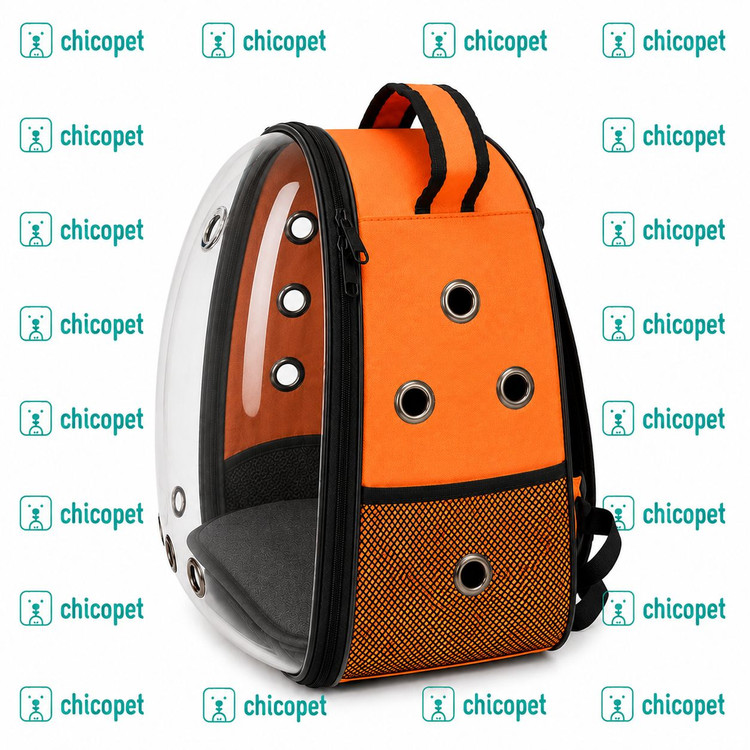 کیف حمل حیوانات